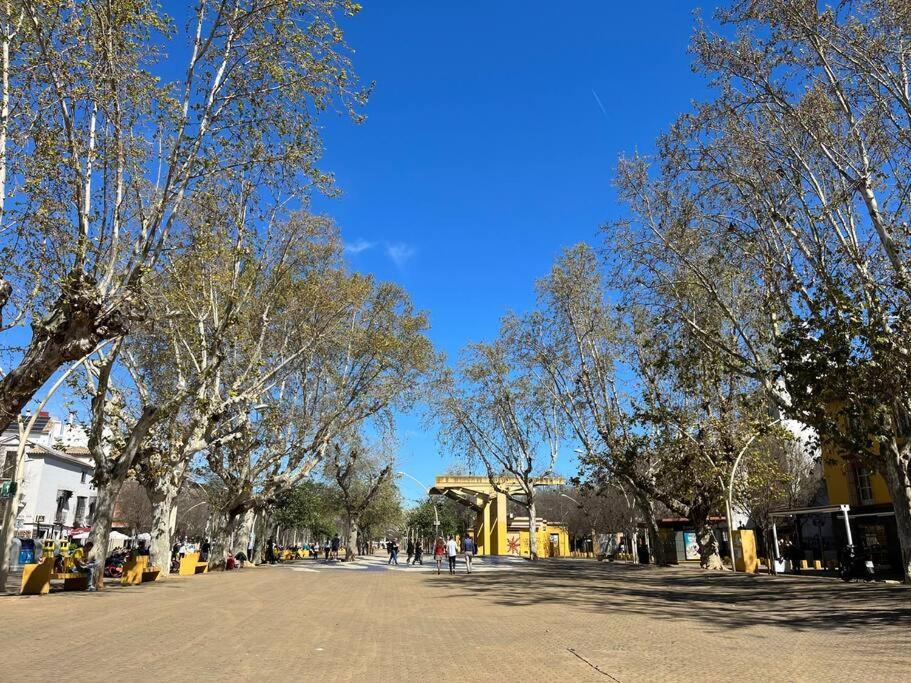 Alameda De Hercules Séville